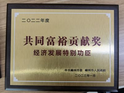 2022年度共同富裕貢獻獎經濟發展特別功臣